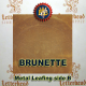 Variegated Metal Leaf-Brunette 20 Book Pack